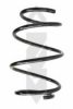 SPIDAN 56973 Coil Spring